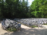 SX14913 White bicycles in Hoge Veluwe National Park.jpg